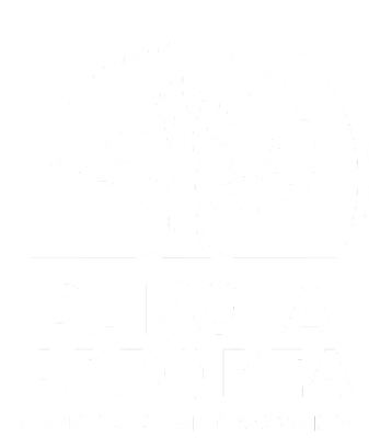Dakota Arborea